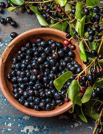 Maqui berries ingredient